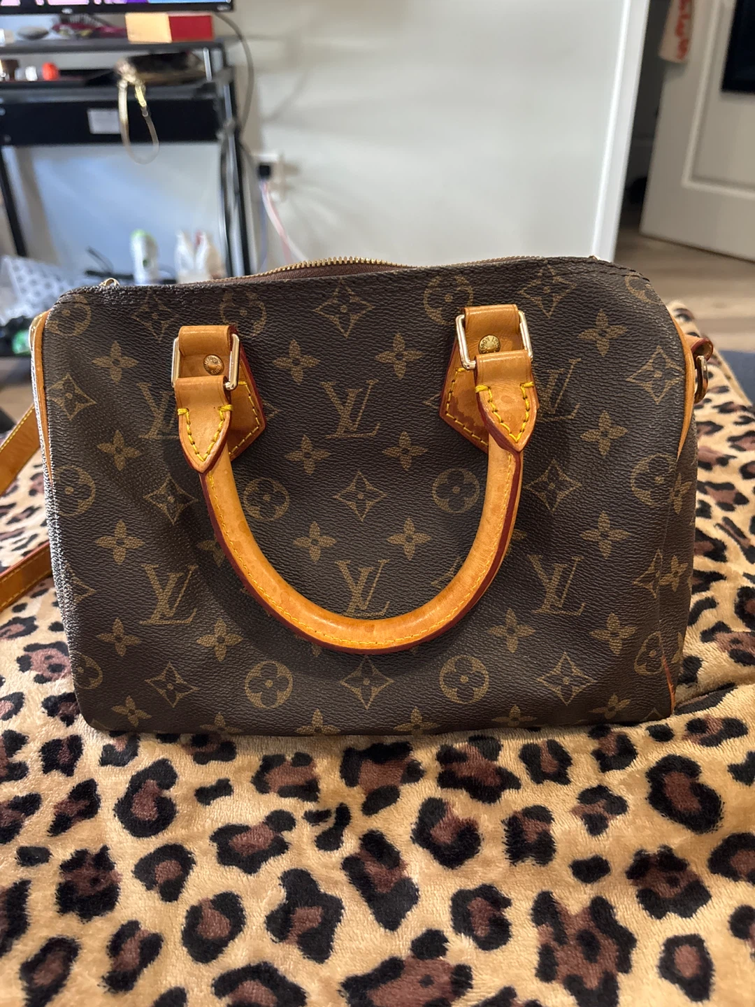 Louis Vuitton Monogram Speedy Bag - photo 3