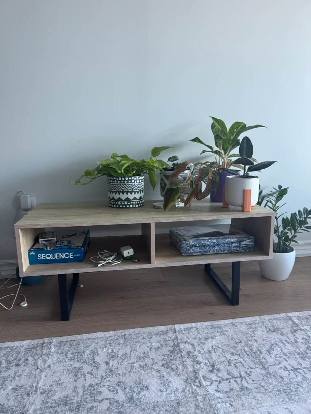Modern TV Stand / Media Console