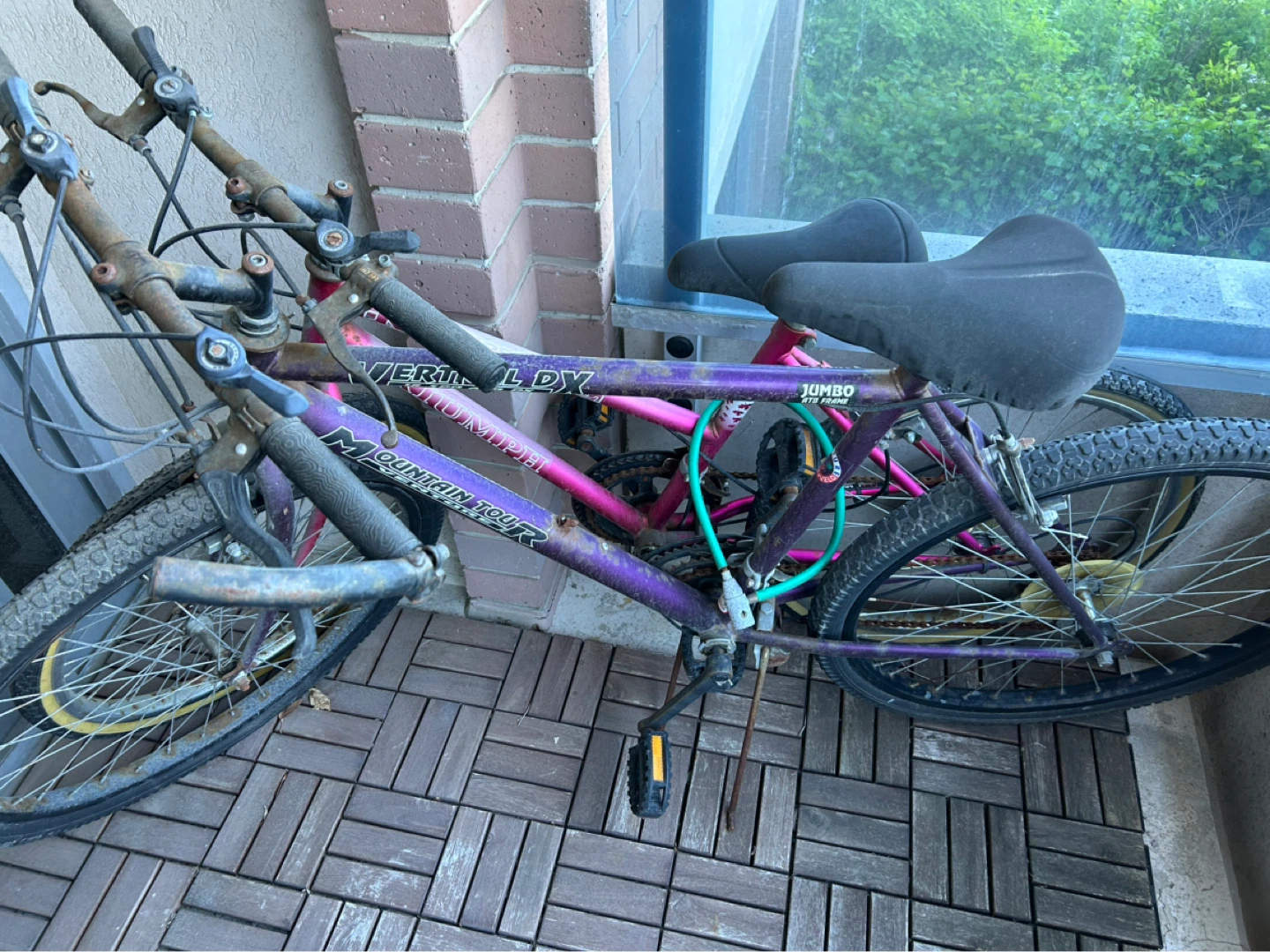 Adult & Teen Bicycles