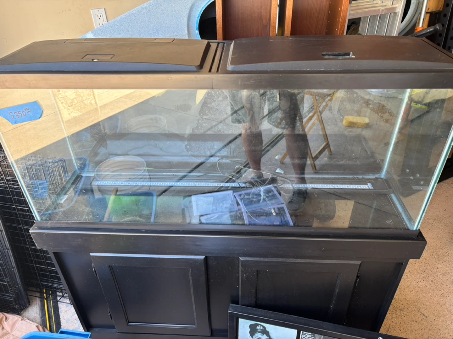 55g aquarium with stand and supplies