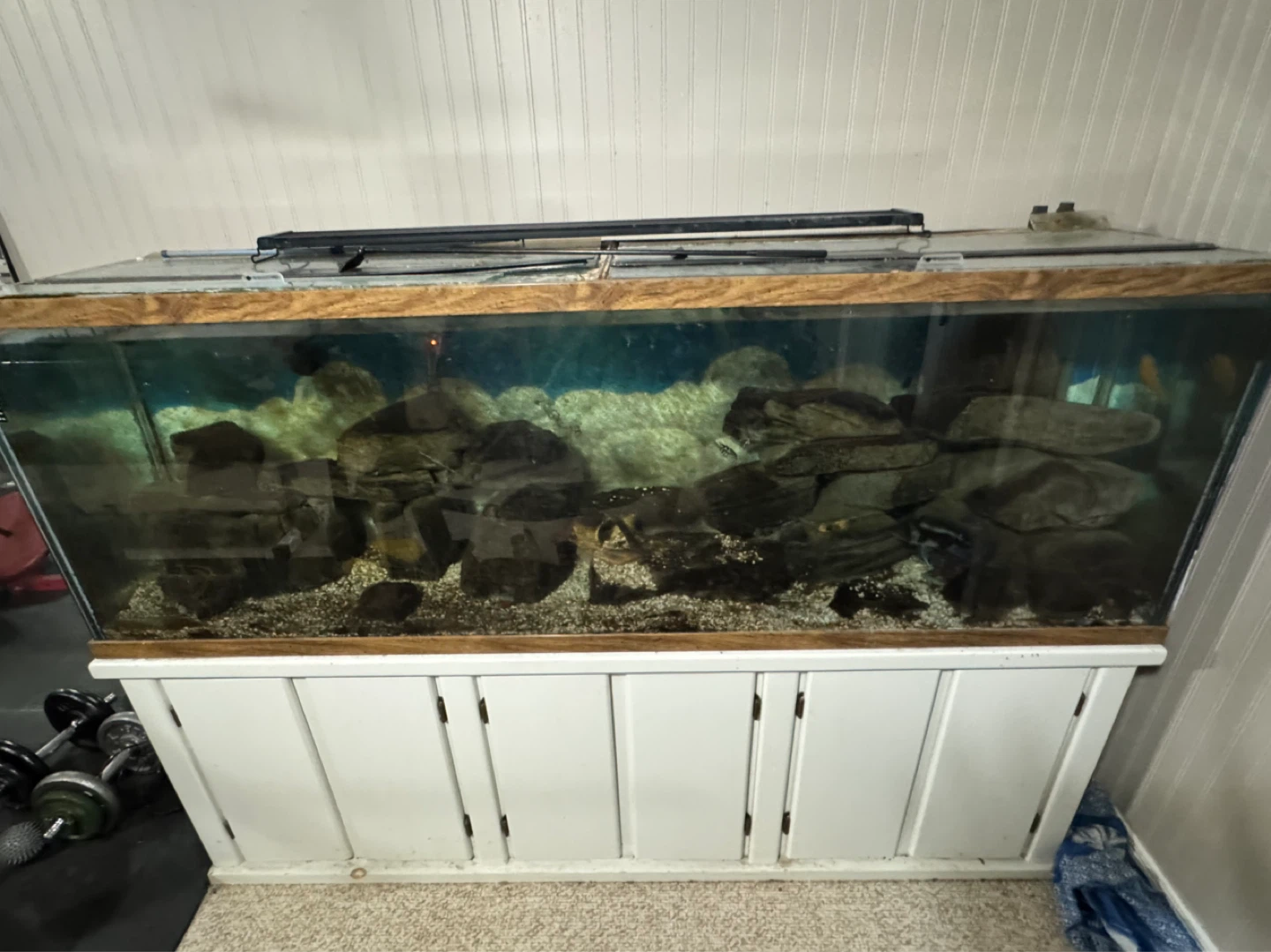 Large Fish Tank with Stand.  135 gallon - photo 2