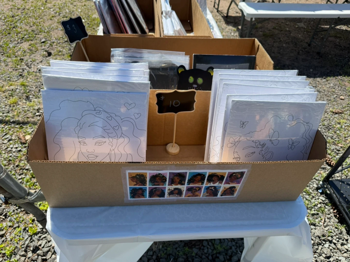 Adult paint boards & paint/brushes - Various Designs