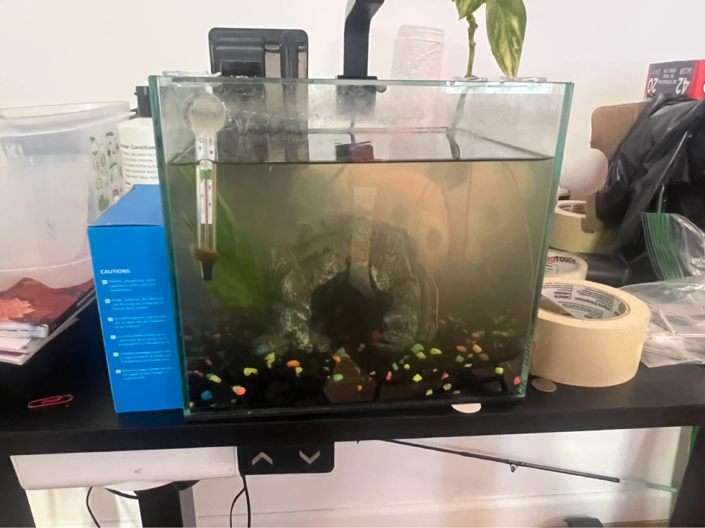 Aquarium Fish Tank with Filter and Thermometer