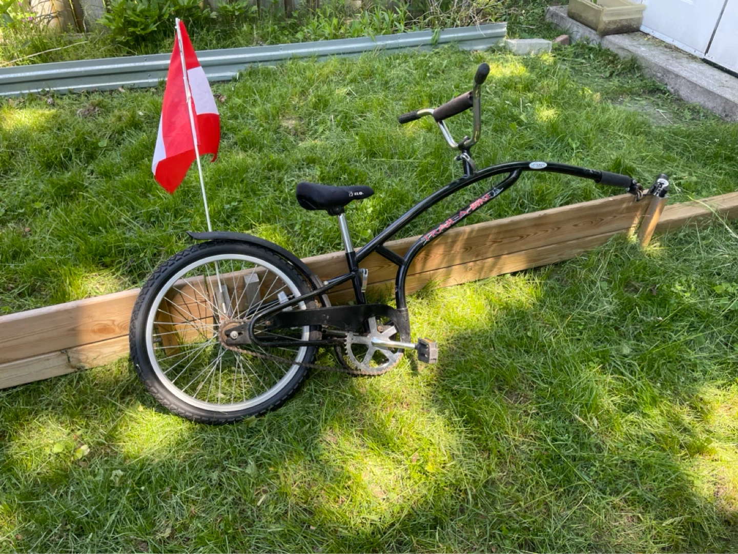 Tandem bike celebrate Summer - photo 3