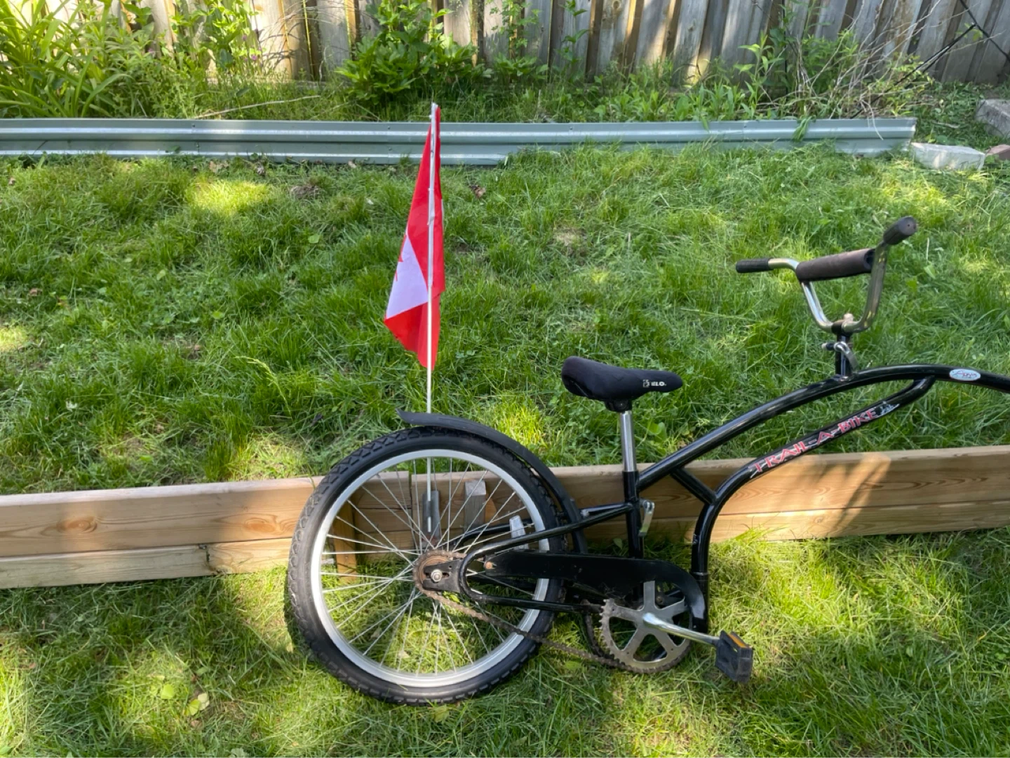 Tandem bike celebrate Summer