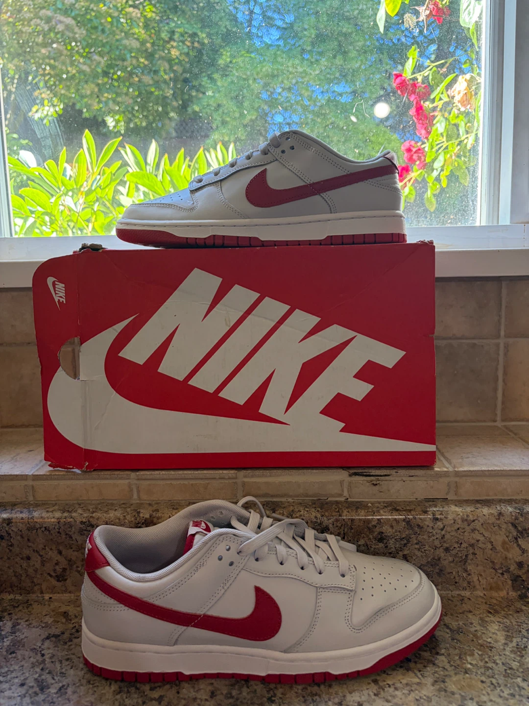 Nike Dunk Low Grey Red Sneakers