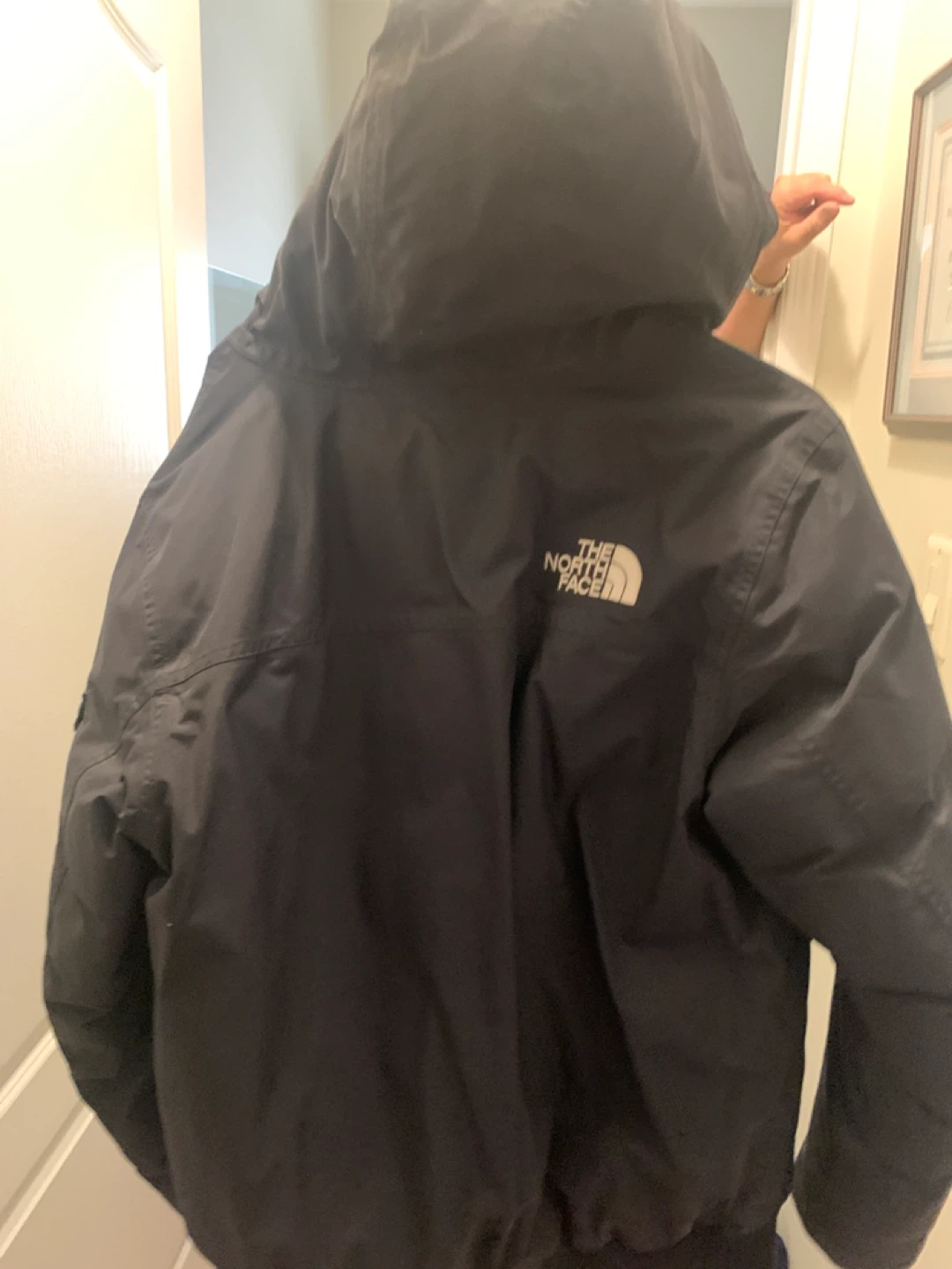 The North Face Black Down Jacket - photo 3