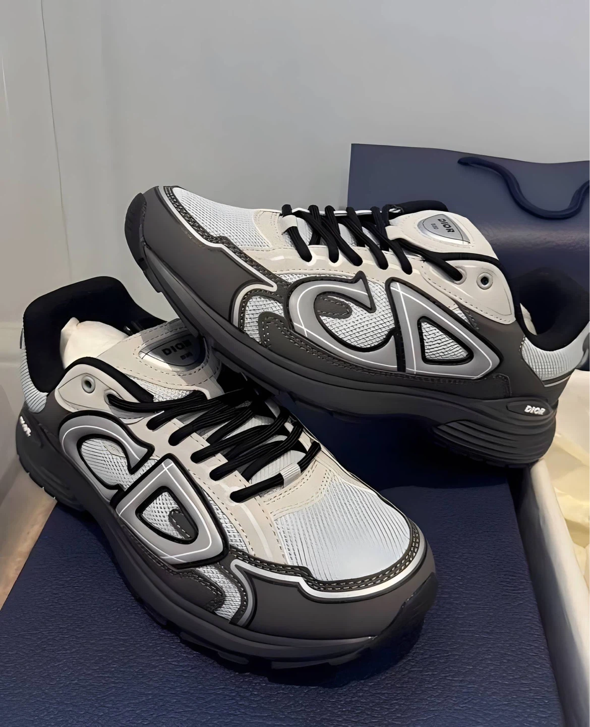 Dior B30 sneakers