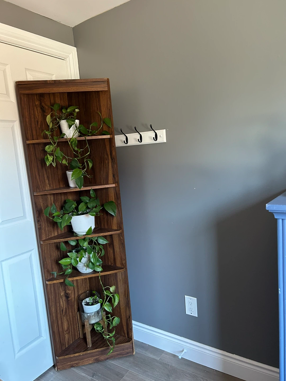 Brown Wood Corner Shelf Unit