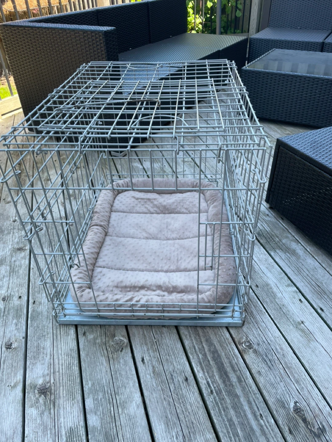Dog Crate Medium
