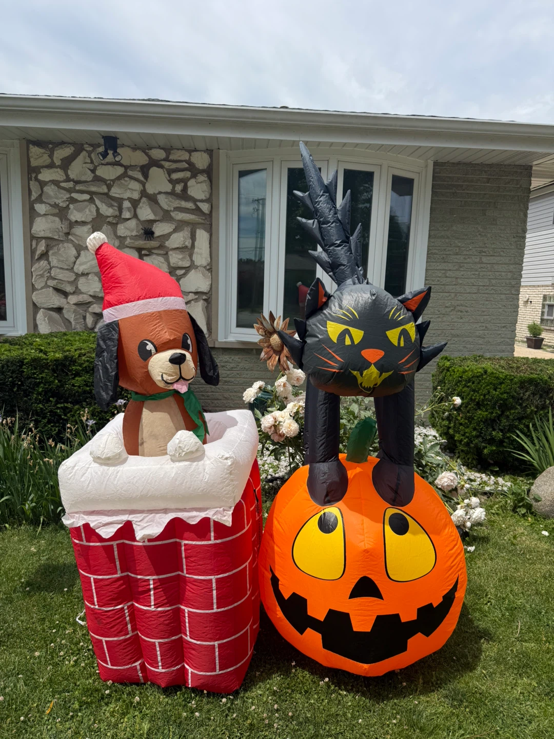 Inflatable Dog in Chimney & Black Cat on Pumpkin Yard Decor
