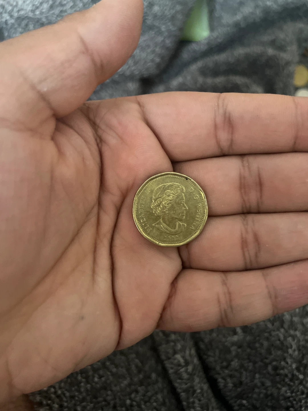 Rare Canadian Loonie Coin - photo 2