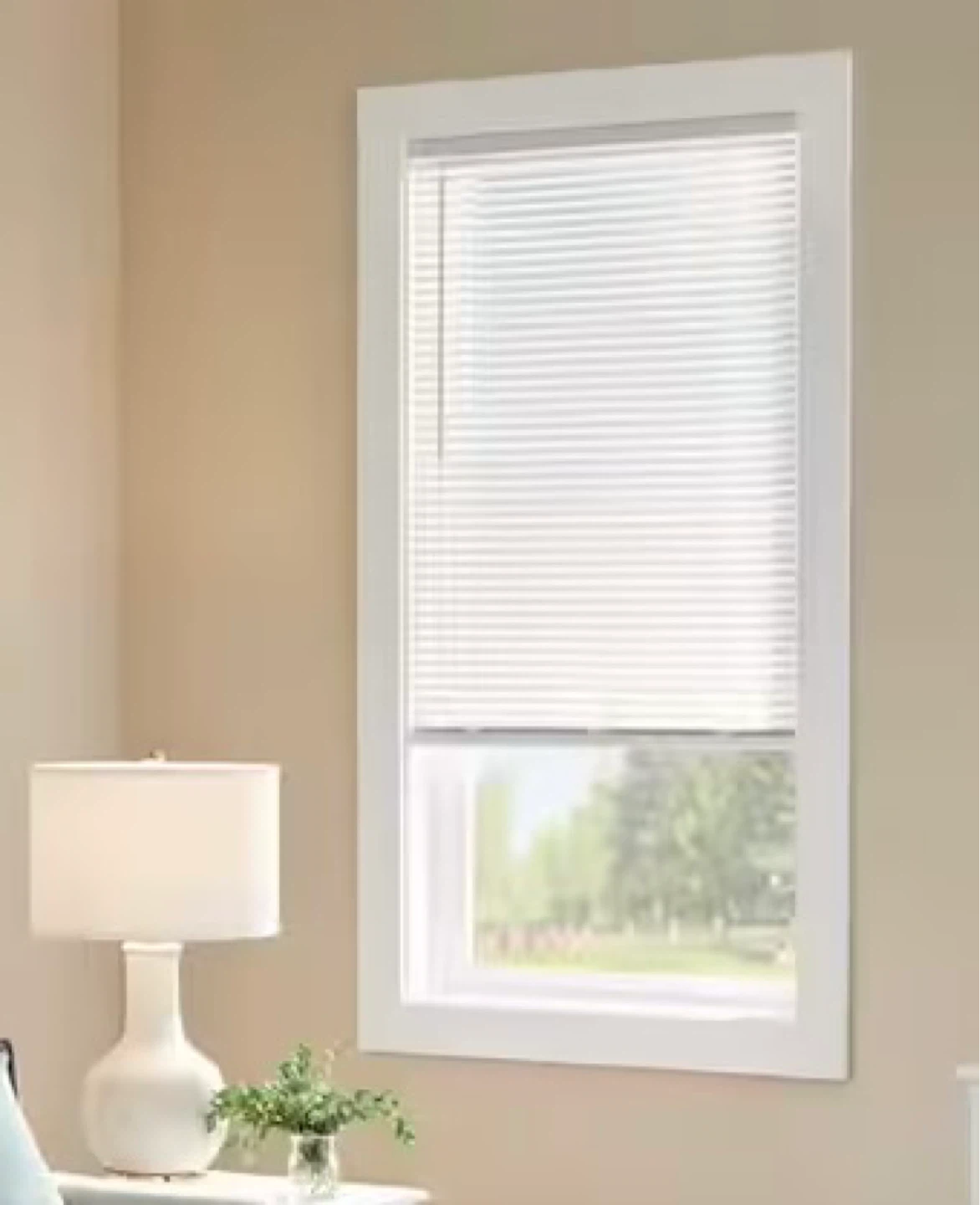 TWO 1-inch vinyl mini Blinds