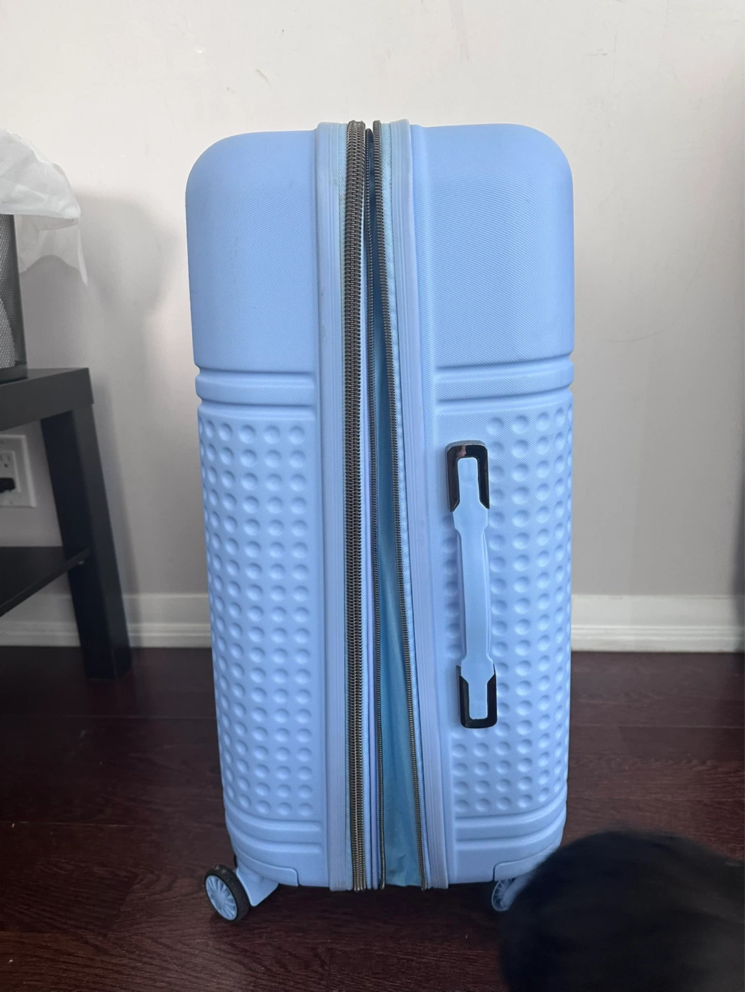 Light Blue Hardshell Spinner Luggage - photo 2
