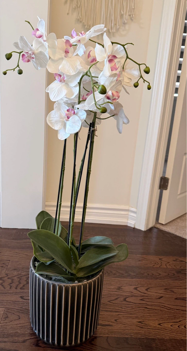 Artificial White Orchid Plant $30 each - photo 2