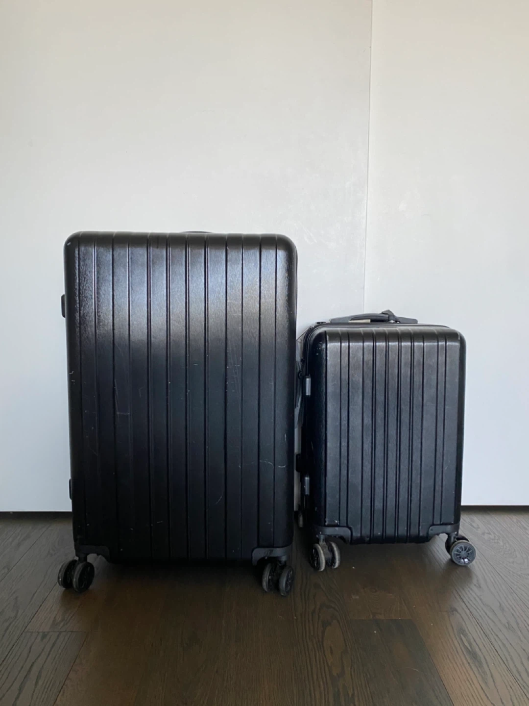 Calpak luggage set