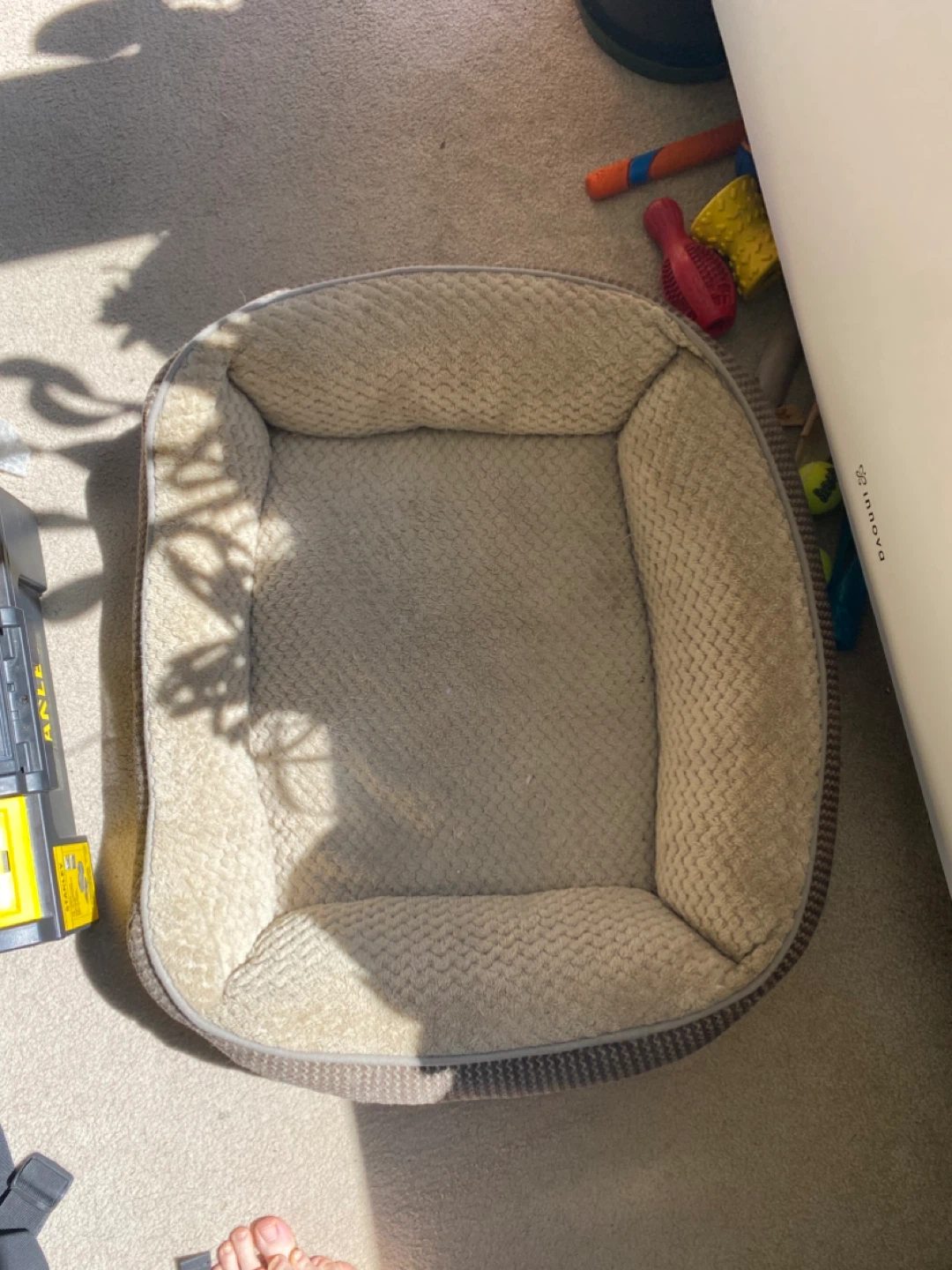 Plush Dog Bed