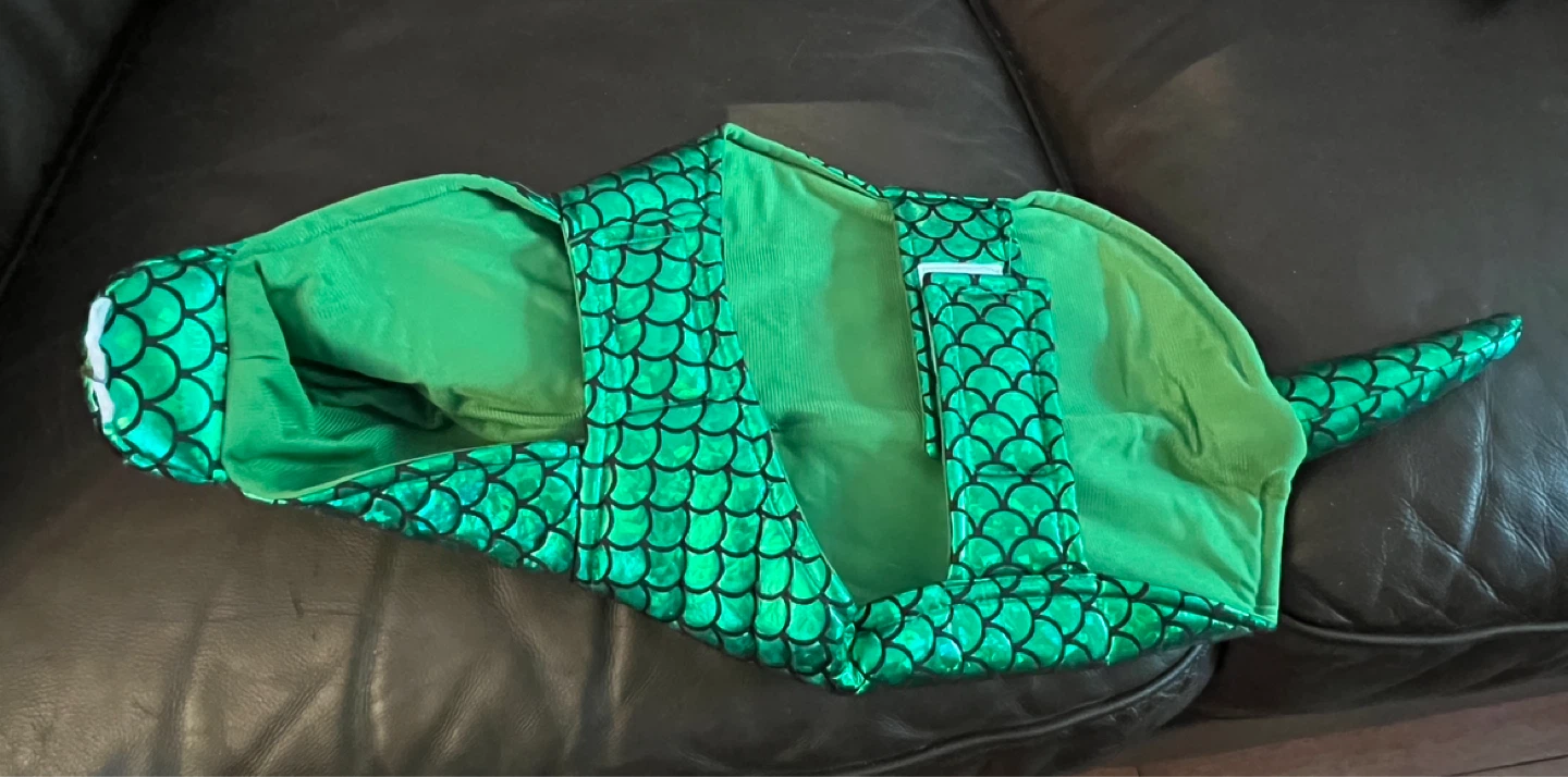 Green Dragon Dog Costume - photo 2