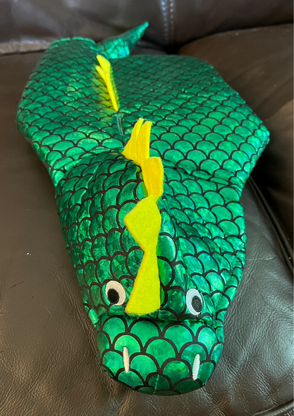Green Dragon Dog Costume