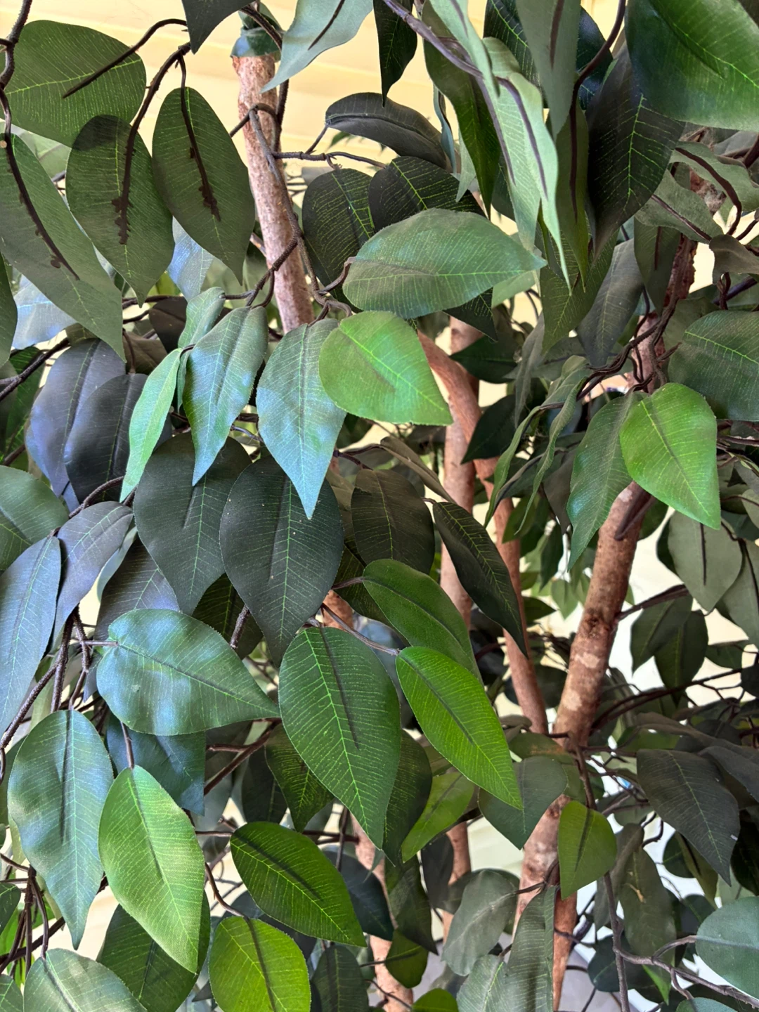 Artificial Ficus Tree with Ivy Base - photo 4