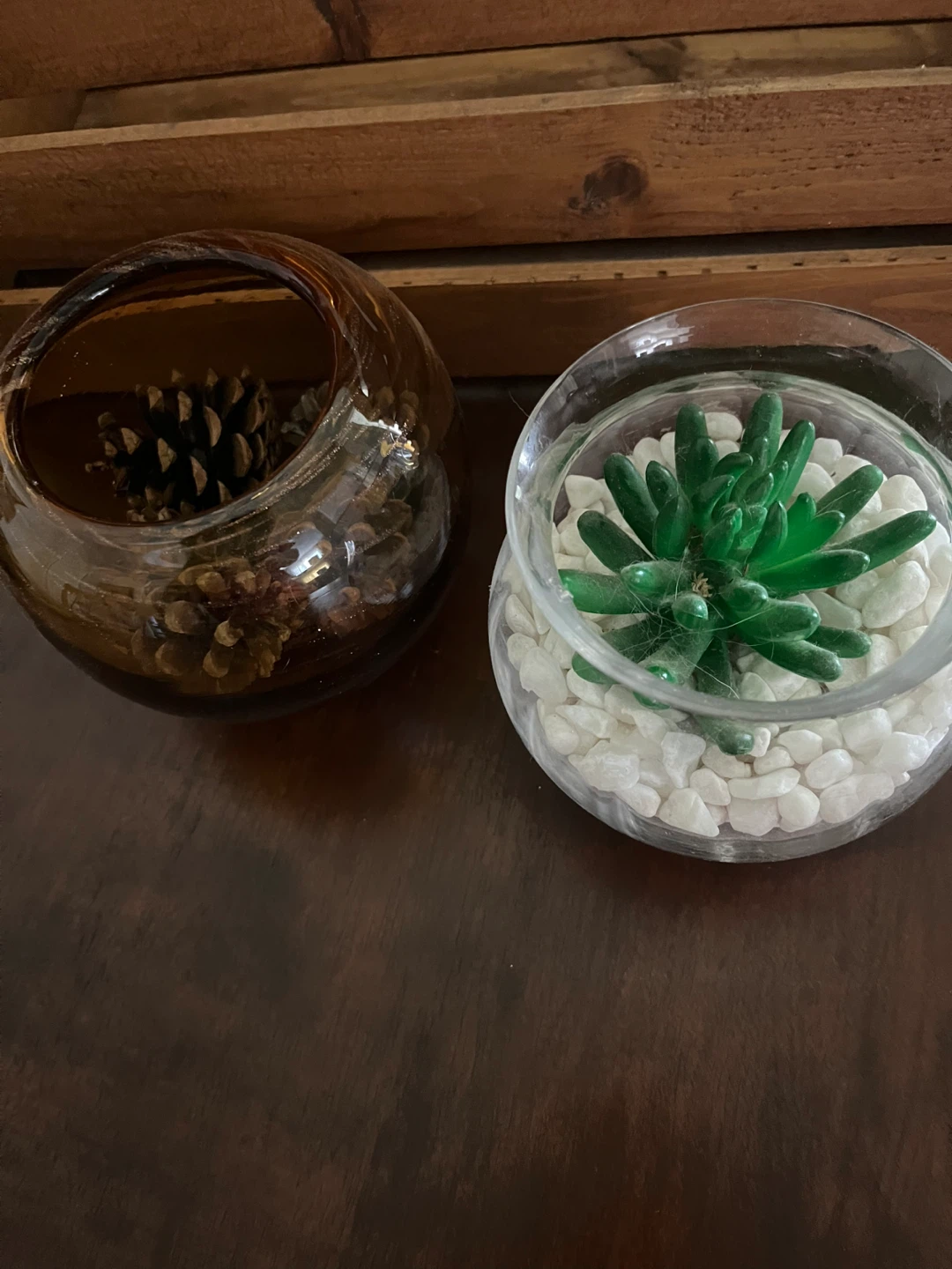 Decorative Glass Planters with Faux Succulent and Pinecones - photo 4