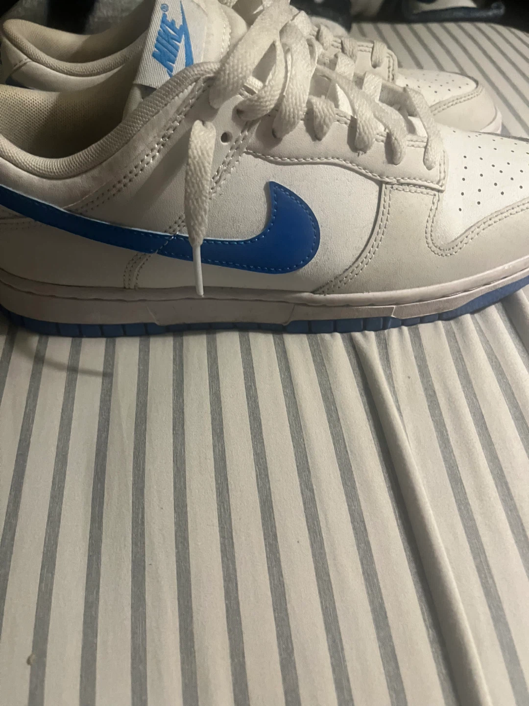 Nike Dunk Low White Blue Sneakers