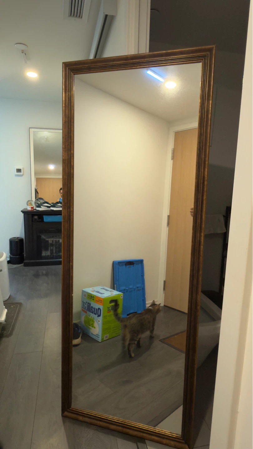 Free Full Length Ornate Mirror - photo 2