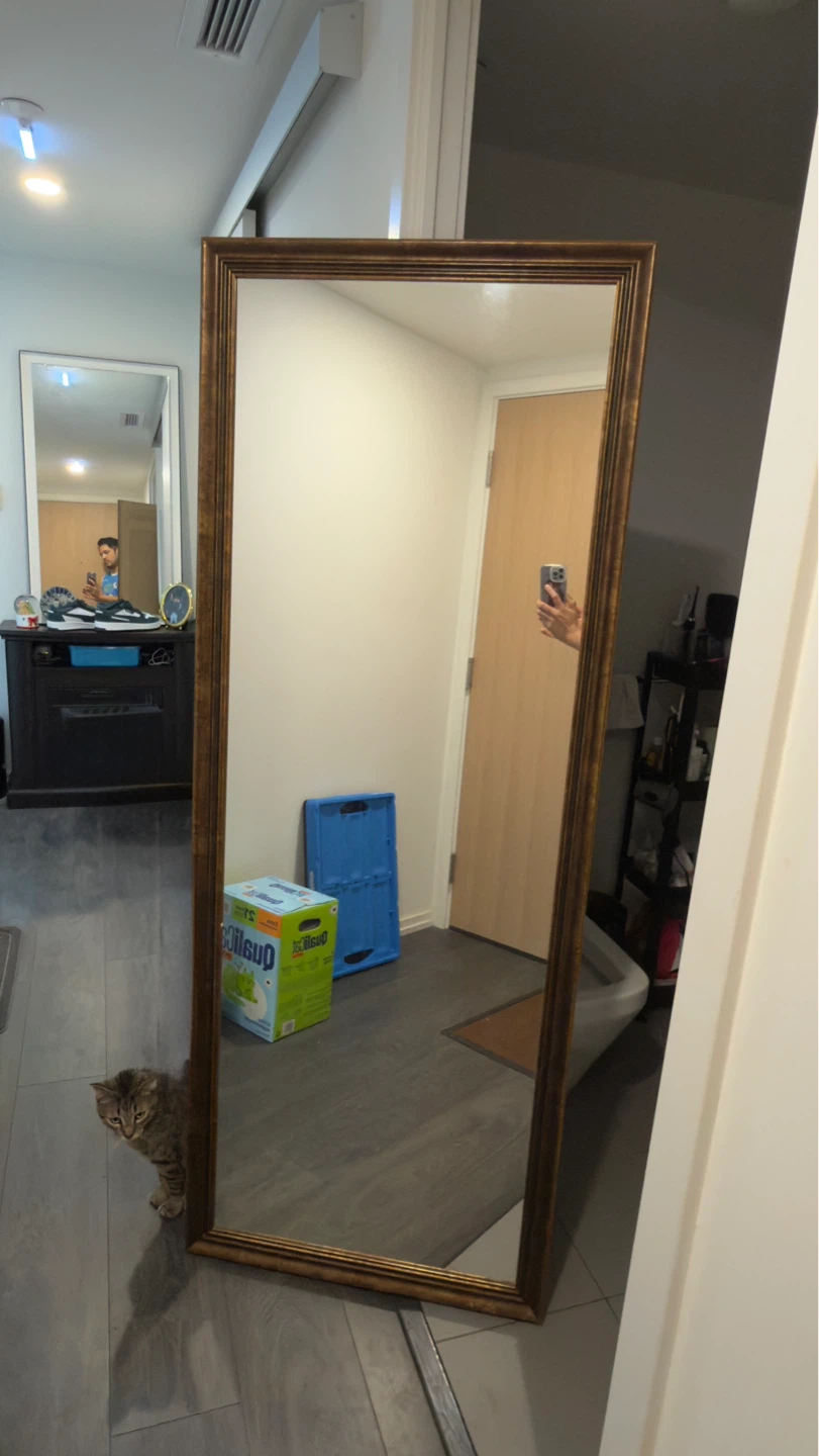Free Full Length Ornate Mirror