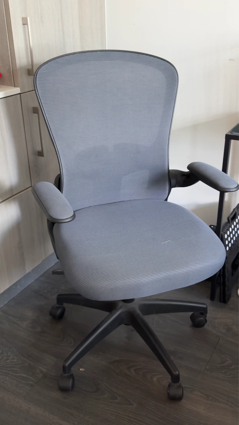 Free Grey Office Chair with Adjustable Arms