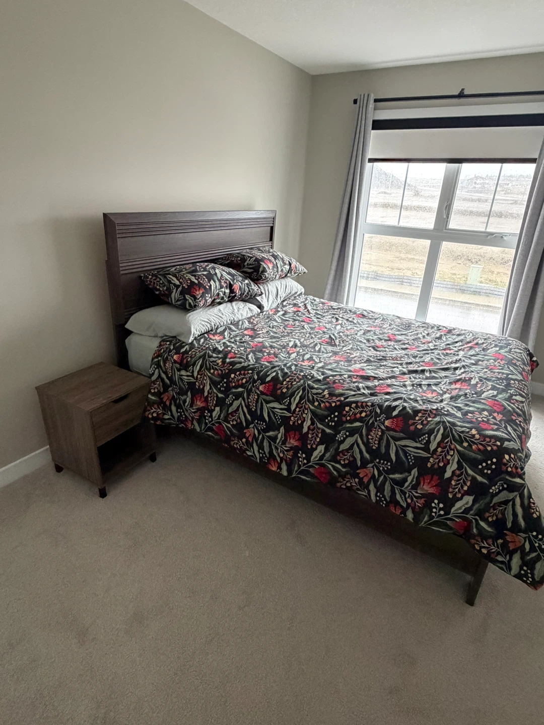 Queen bed frame (w/ box spring) and bedside table