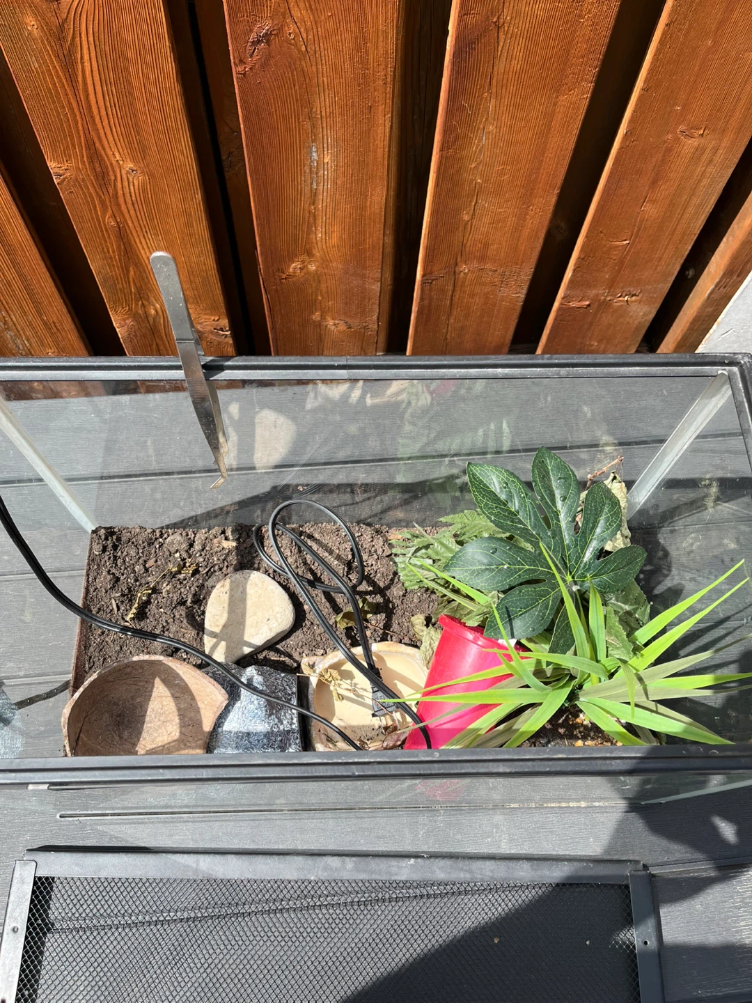 Glass Terrarium / aquarium with Accessories - photo 2