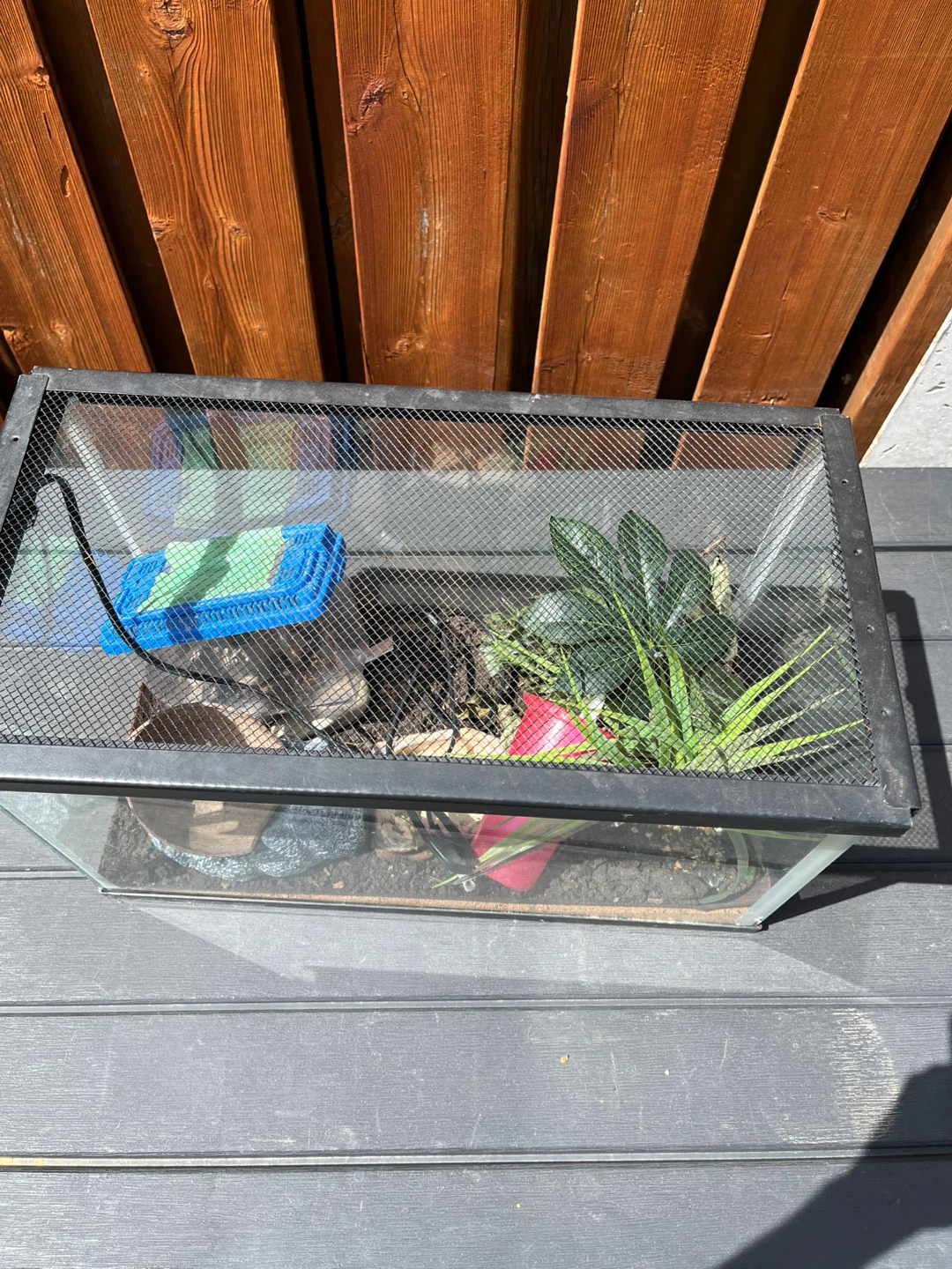 Glass Terrarium / aquarium with Accessories - photo 3