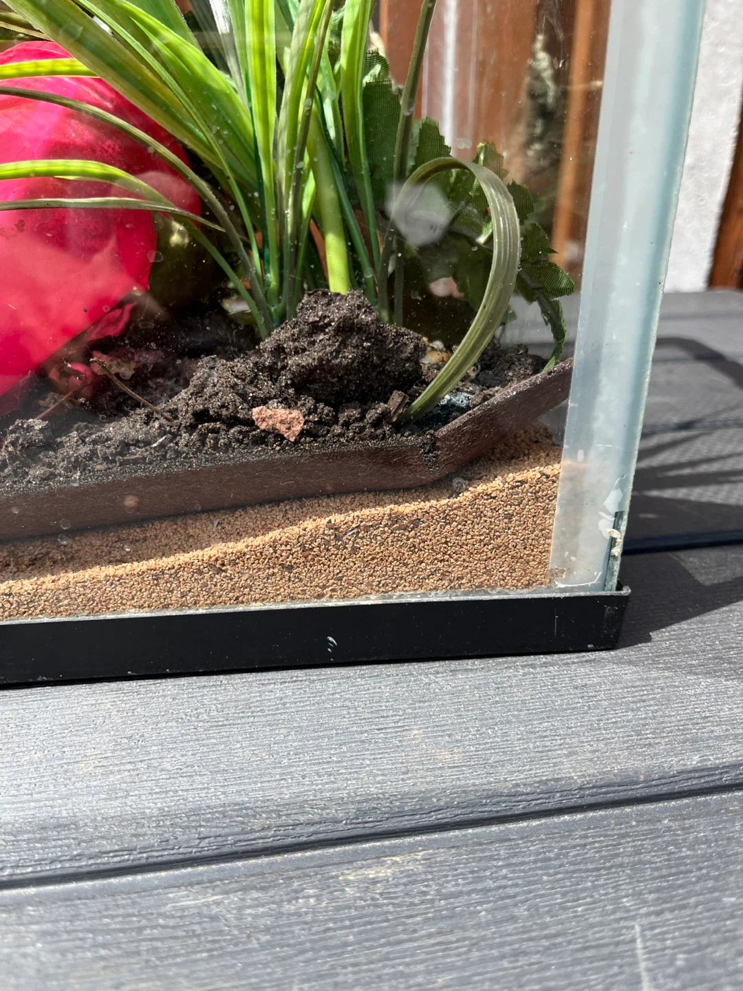 Glass Terrarium / aquarium with Accessories - photo 4
