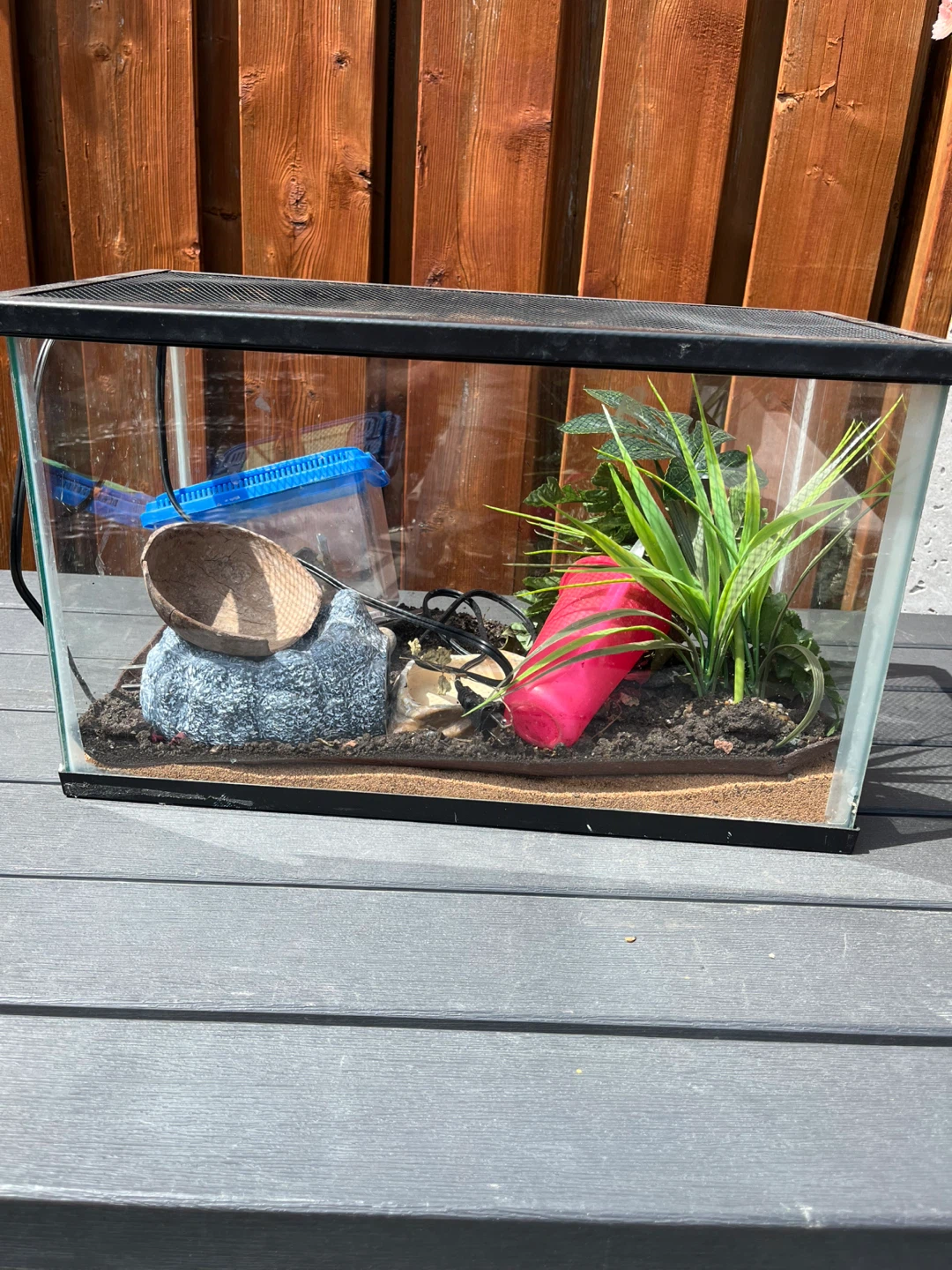 Glass Terrarium / aquarium with Accessories