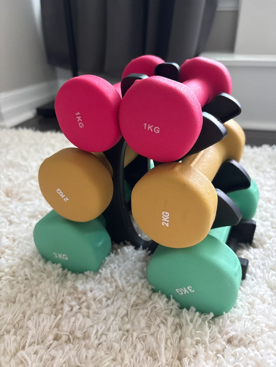 Dumbbell Set with Rack (1KG, 2KG, 3KG Pairs)