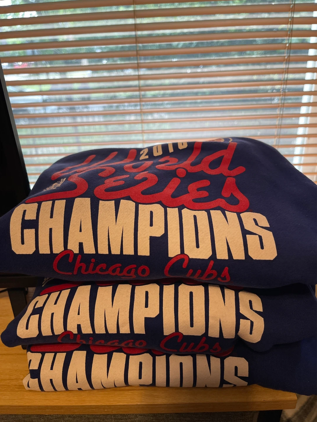 2016 World Series Champions Chicago Cubs Hoodie - photo 2
