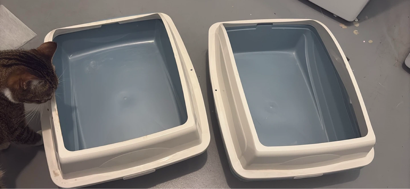Two cat litter boxes
