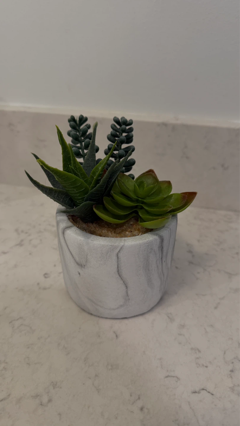Faux Succulent Plant in Marble Pot - photo 2
