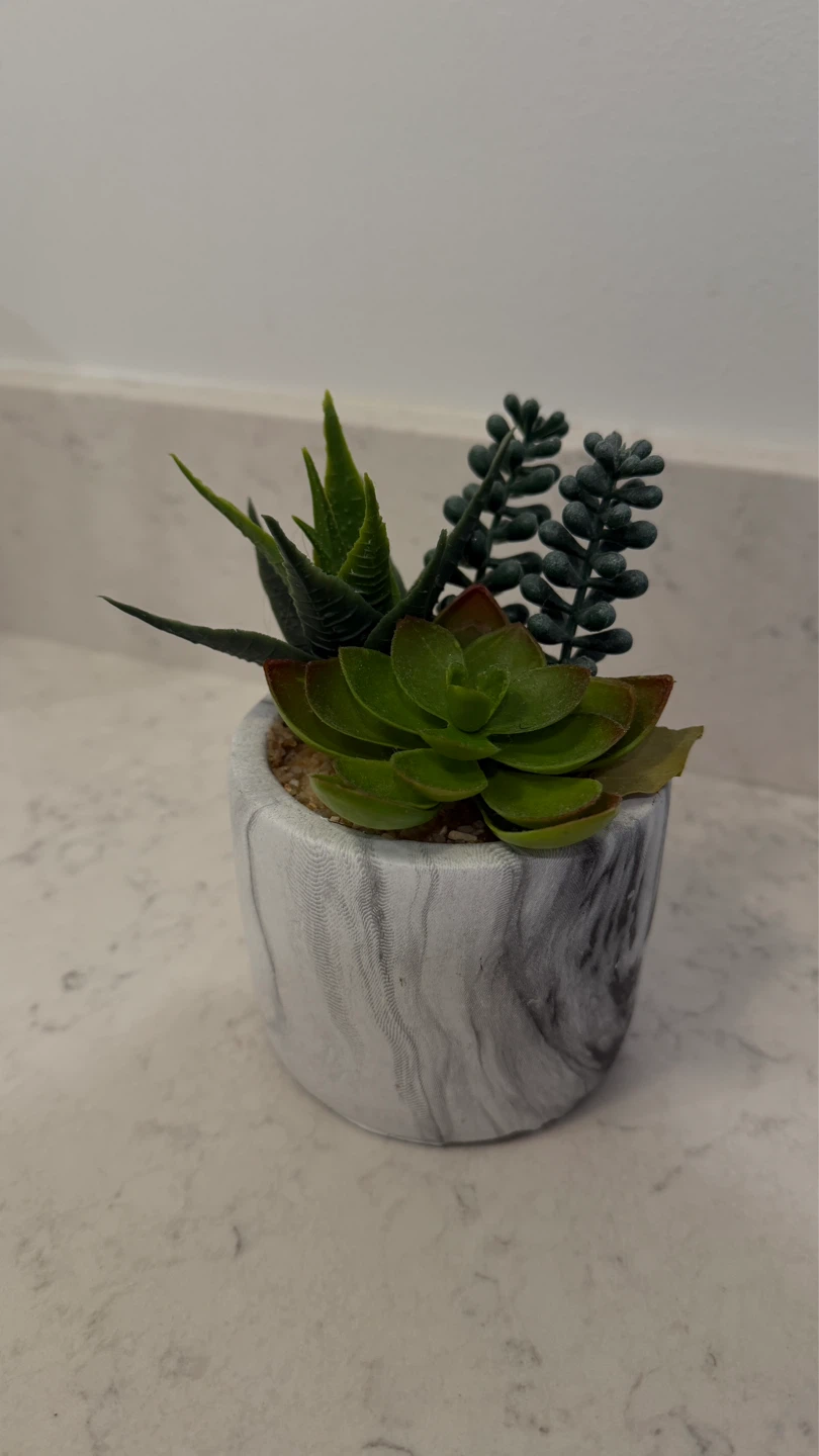 Faux Succulent Plant in Marble Pot
