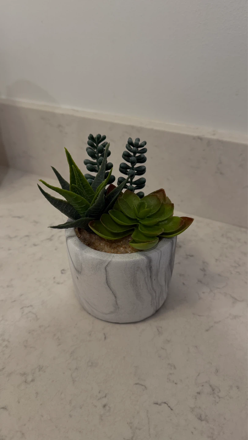 Faux Succulent Plant in Marble Pot - photo 3