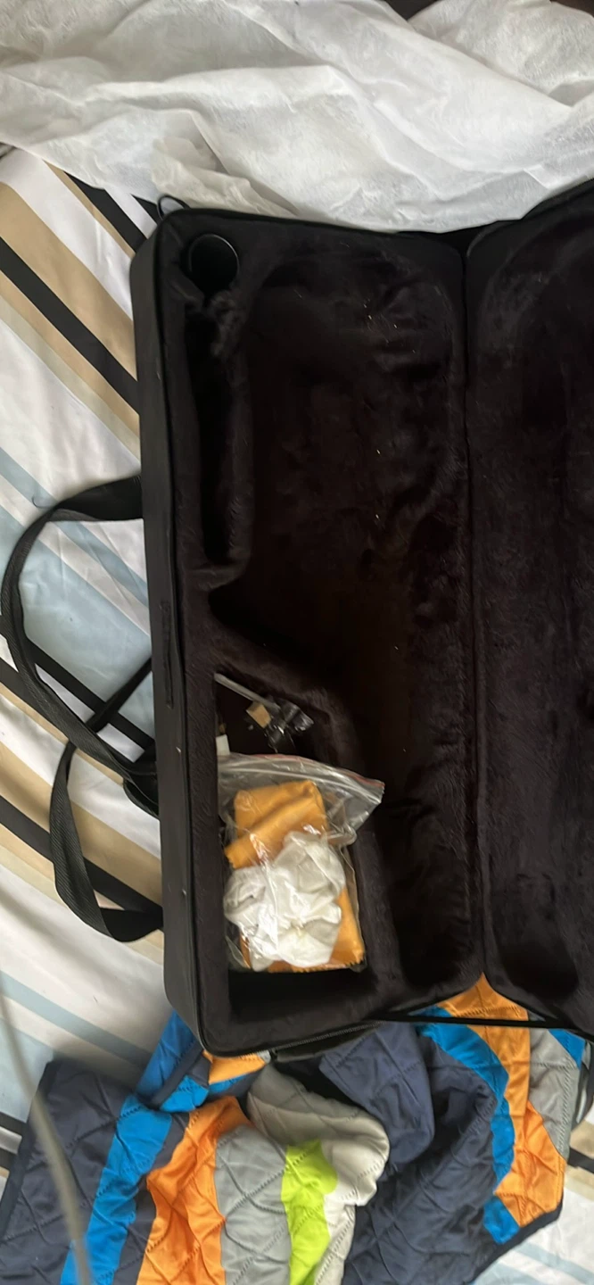 Gold Alto Saxophone with Case and Accessories - photo 2