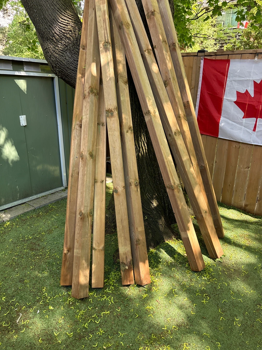 Pressure Treated Lumber - Very Negotiable