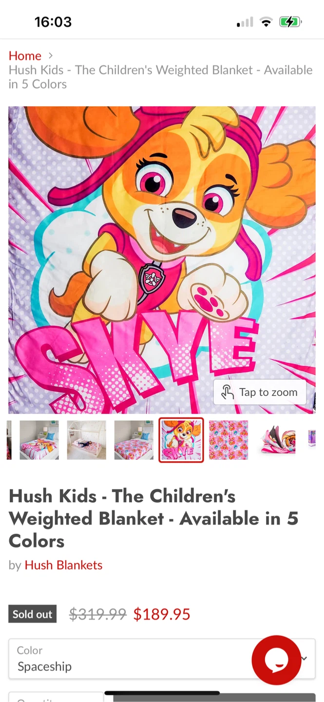 Retails $200, Brand new Paw Patrol Skye Weighted Blanket