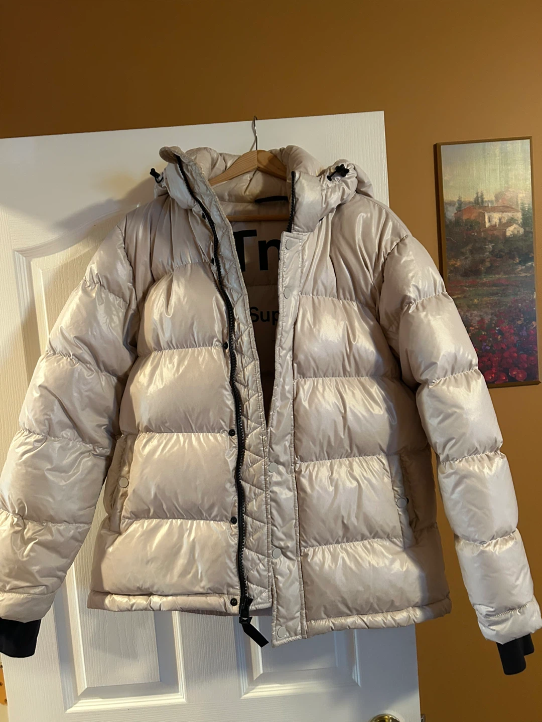 Tna The Super Puff Winter Jacket