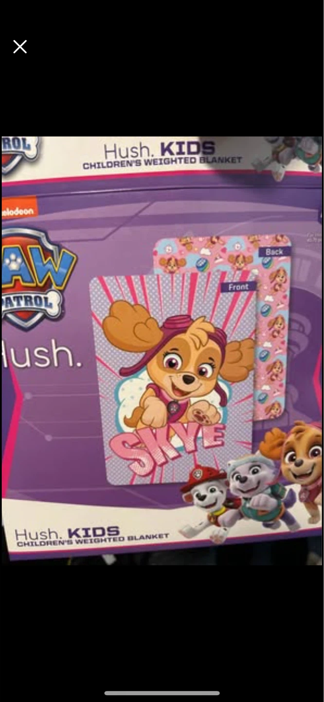 Retails $200, Paw Patrol Skye Weighted Blanket - photo 3