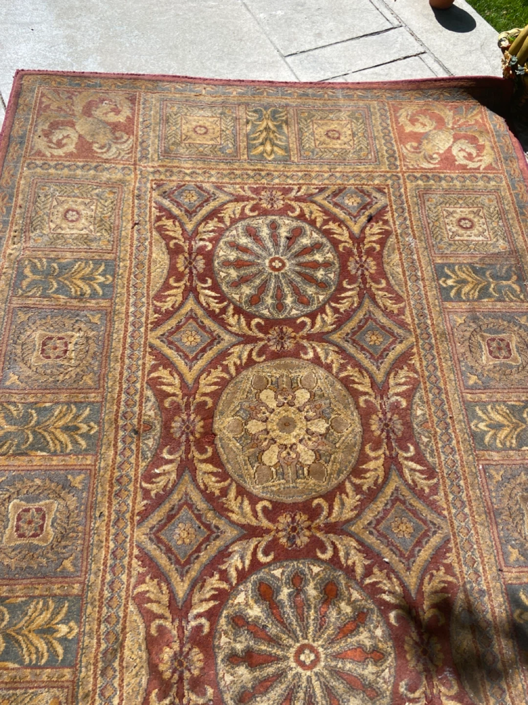 Area Rug with Traditional Design