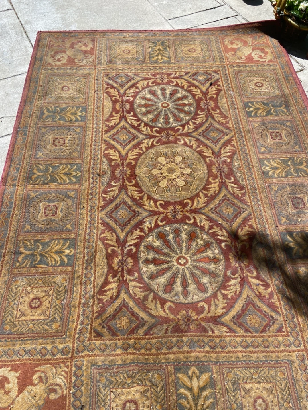 Area Rug with Traditional Design - photo 2