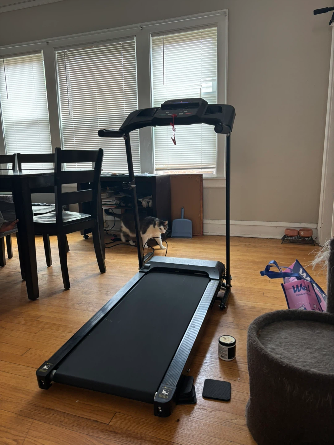 Black Folding Treadmill