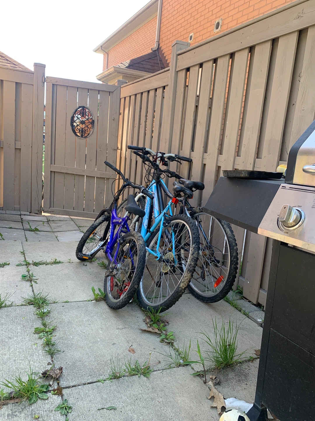 Kids' and Adult Bicycles