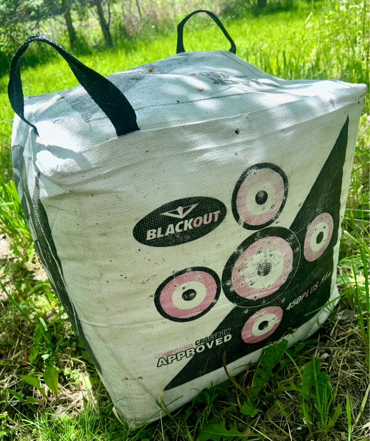BlackOut X-Treme 450 FPS Target - photo 3